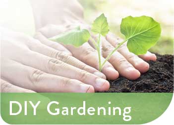 DIY Gardening